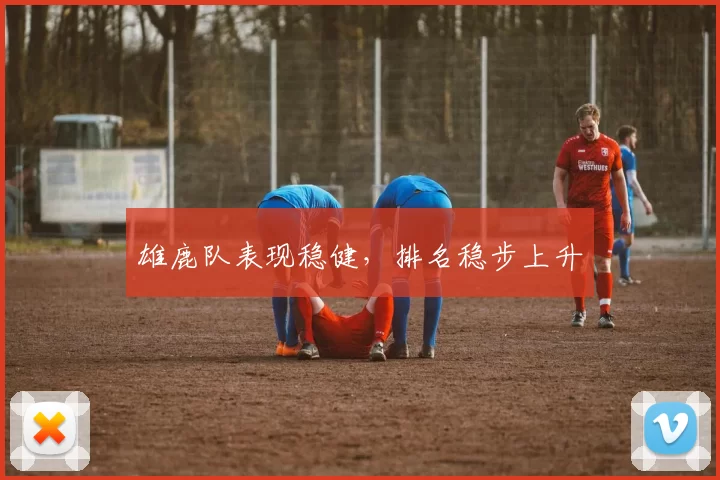 雄鹿队表现稳健，排名稳步上升